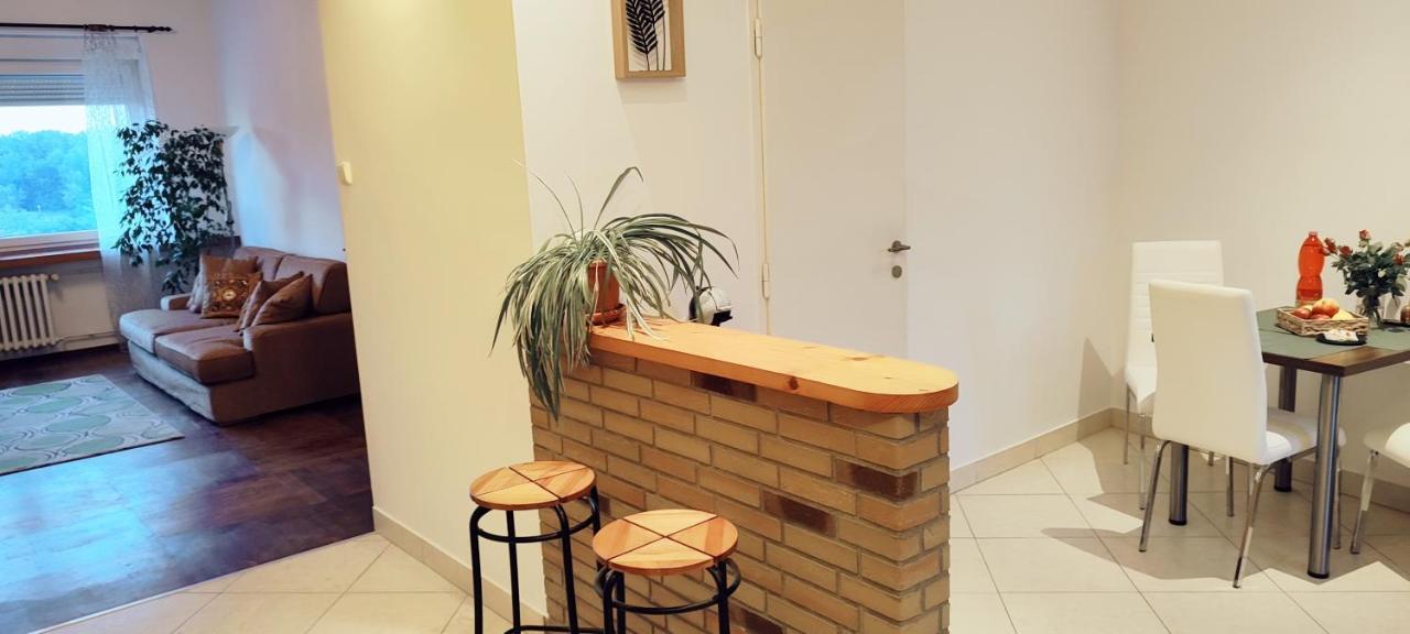 Danube Riverside Apartment With Quite Workplace ブラチスラヴァ エクステリア 写真