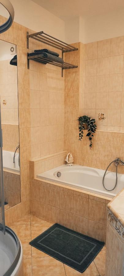 Danube Riverside Apartment With Quite Workplace ブラチスラヴァ エクステリア 写真