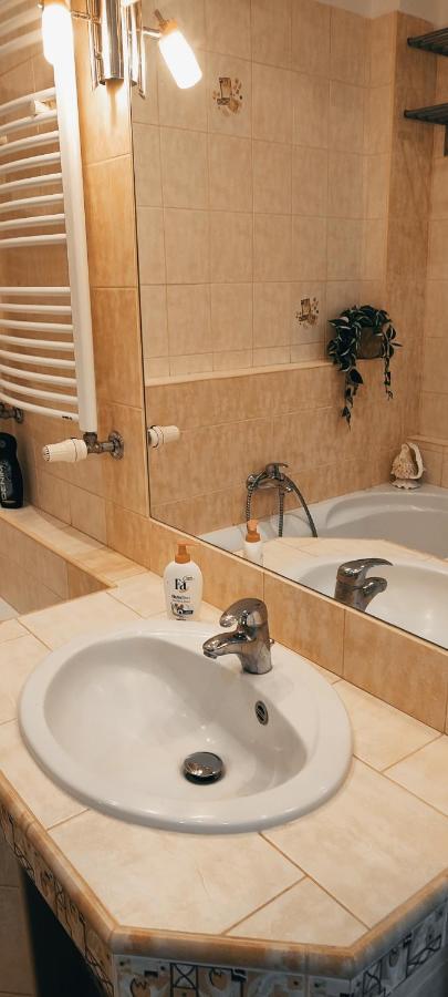 Danube Riverside Apartment With Quite Workplace ブラチスラヴァ エクステリア 写真