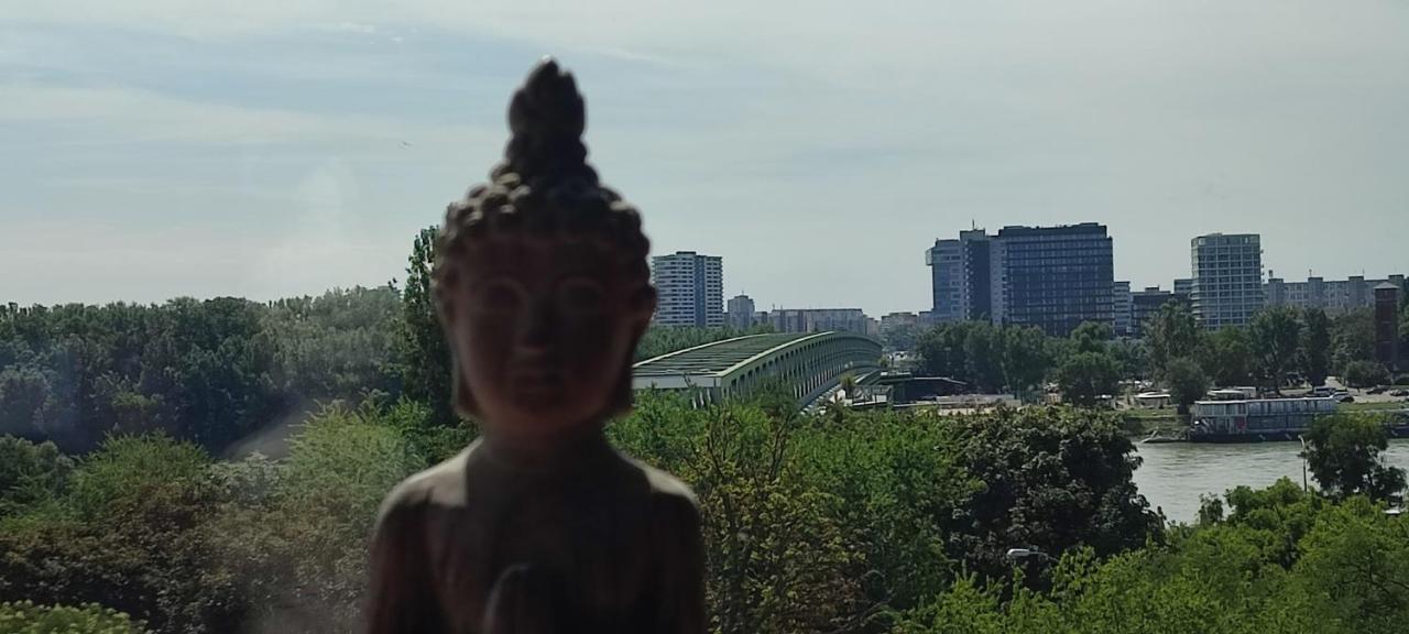 Danube Riverside Apartment With Quite Workplace ブラチスラヴァ エクステリア 写真