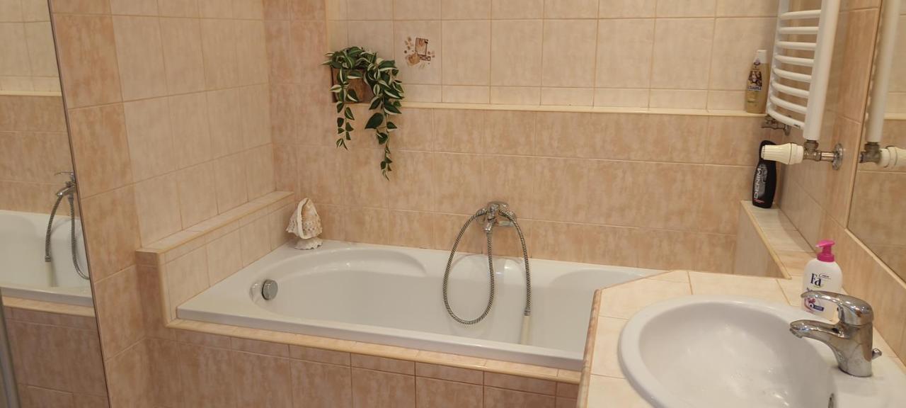 Danube Riverside Apartment With Quite Workplace ブラチスラヴァ エクステリア 写真